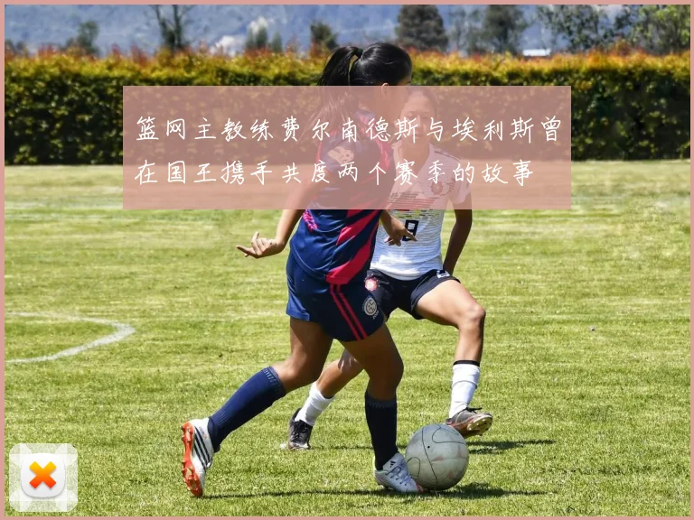 篮网主教练费尔南德斯与埃利斯曾在国王携手共度两个赛季的故事