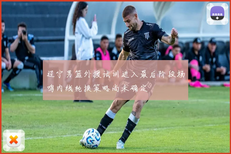 辽宁男篮外援试训进入最后阶段杨鸣内线轮换策略尚未确定